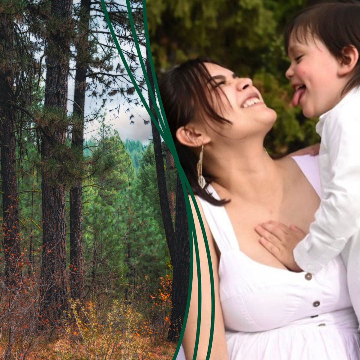 Collage of evergreen forest and laughing mother and young child
