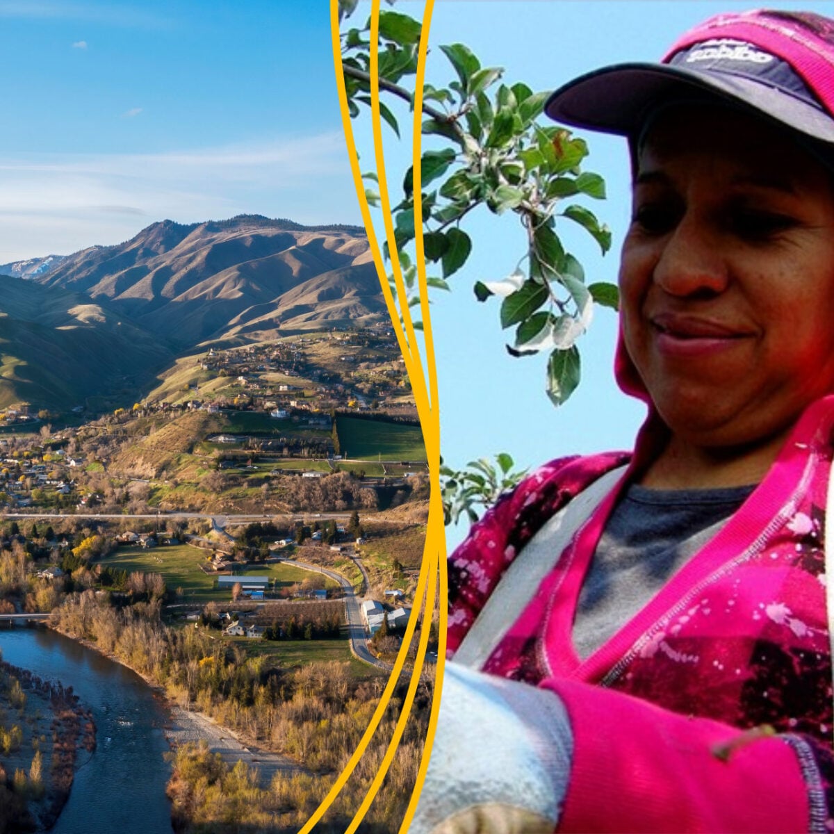 Collage of Wenatchee river valley and mountains with woman working in fruit tree